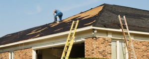 Read more about the article Should I Repair or Replace My Shingle Roof?
